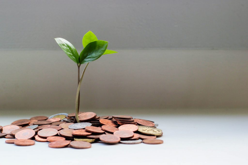 coins around a small plant