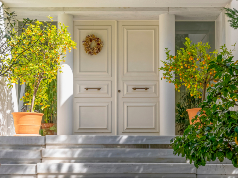 entrance door with potted plants
